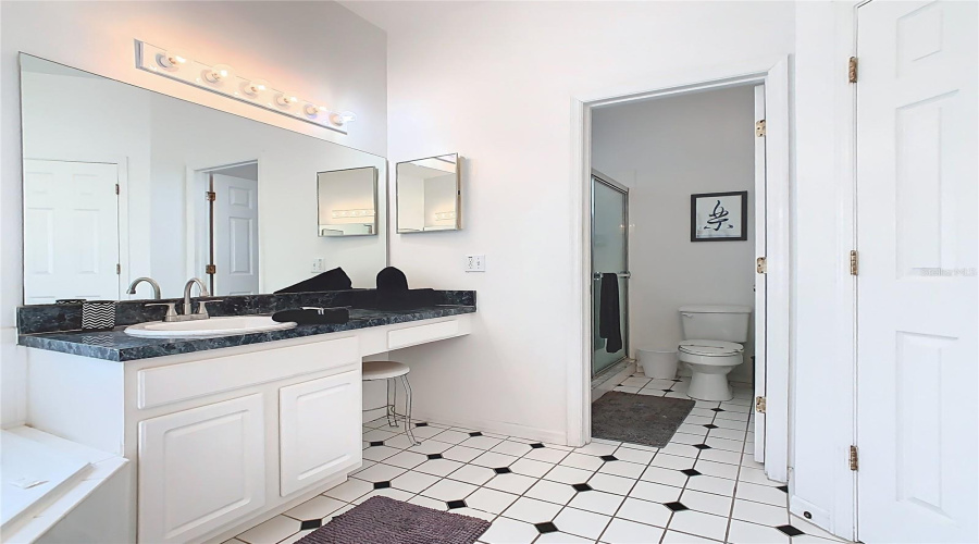Primary bathroom