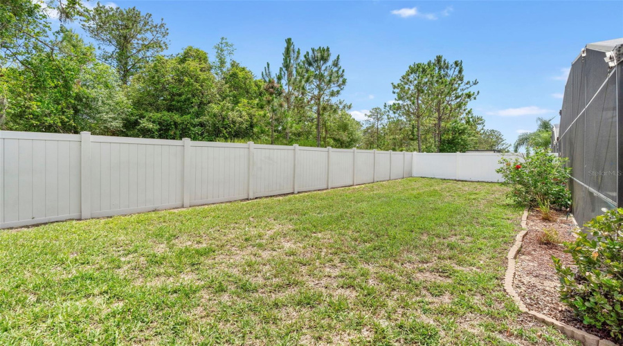 Large backyard