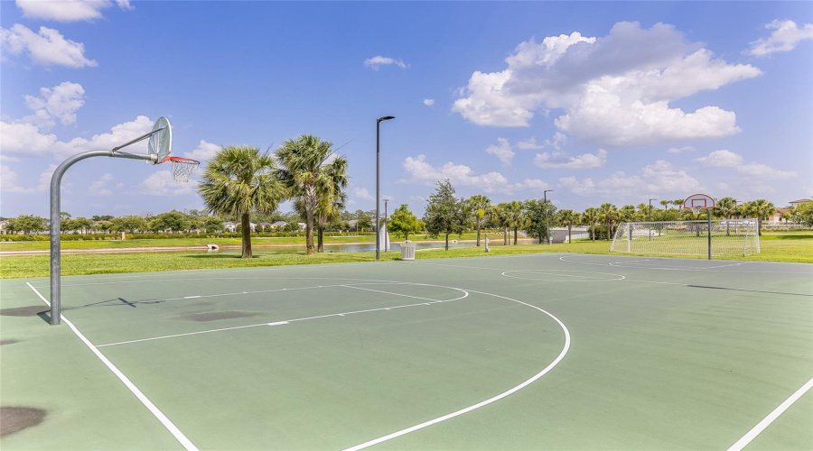 Basketball Court