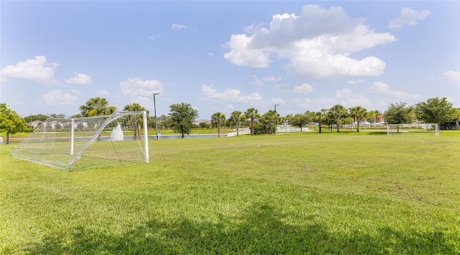 Soccer Field