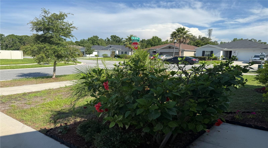 KISSIMMEE, Florida 34746, 4 Bedrooms Bedrooms, ,2 BathroomsBathrooms,Residential,For Sale,CASA DEL REY,MFRG5098200