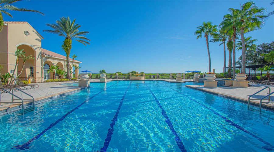 JR Olympic Size pool
