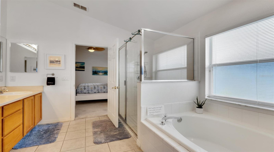 Walk in shower and jacuzzi style tub