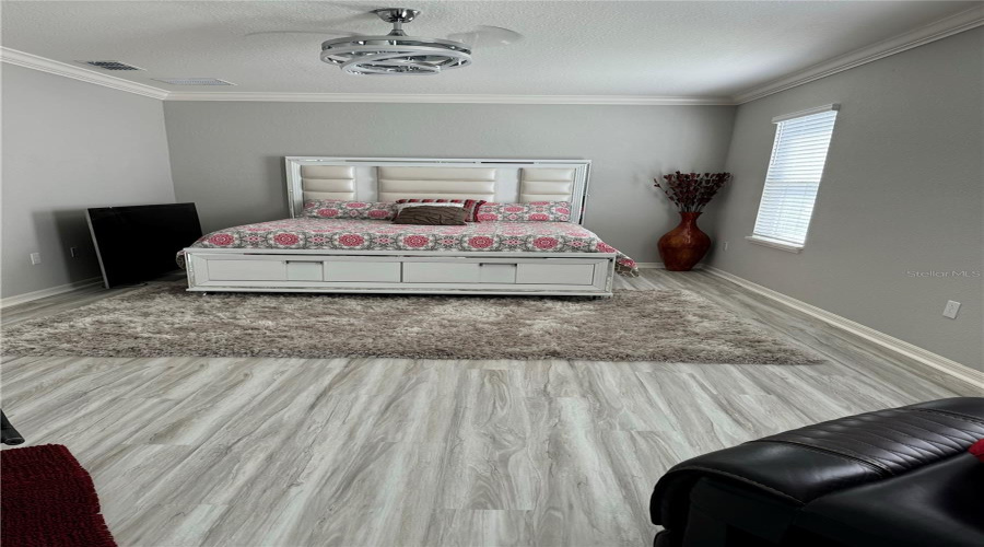 First Floor Master Bedroom