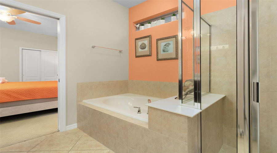 KISSIMMEE, Florida 34747, 7 Bedrooms Bedrooms, ,5 BathroomsBathrooms,Residential,For Sale,RHODES,0,MFRO6317955