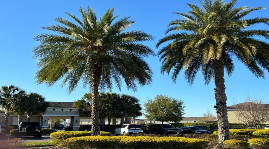 DAVENPORT, Florida 33896, 3 Bedrooms Bedrooms, ,2 BathroomsBathrooms,Residential,For Sale,ARBOR LAKES,MFRS5129078