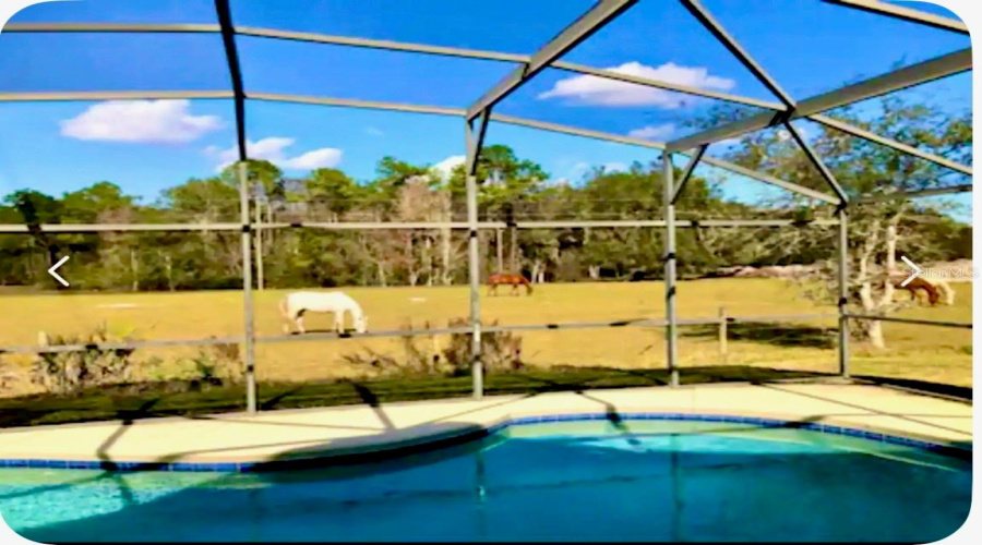 DAVENPORT, Florida 33896, 5 Bedrooms Bedrooms, ,3 BathroomsBathrooms,Residential,For Sale,ROYAL RIDGE,0,MFRS5129219