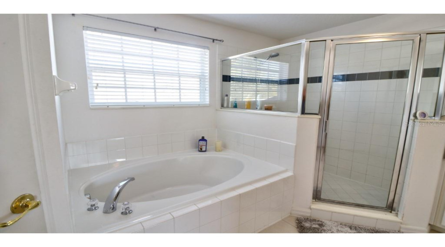 DAVENPORT, Florida 33897, 5 Bedrooms Bedrooms, ,4 BathroomsBathrooms,Residential,For Sale,BRIDGEWATER,0,MFRO6319825
