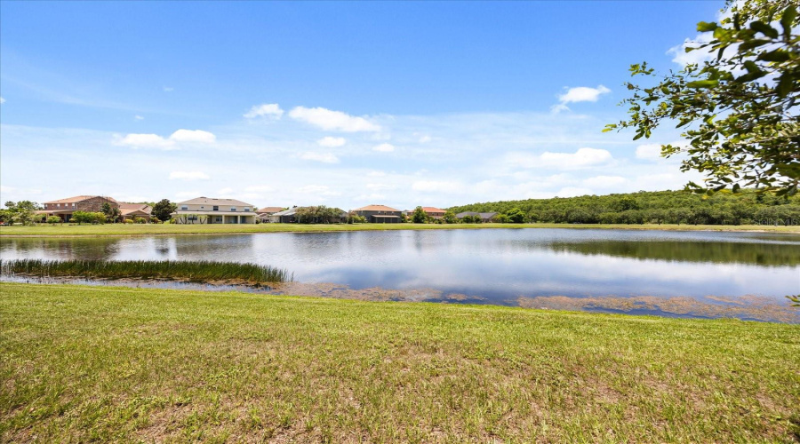 KISSIMMEE, Florida 34746, 5 Bedrooms Bedrooms, ,4 BathroomsBathrooms,Residential,For Sale,CHAPALA,0,MFRO6319320