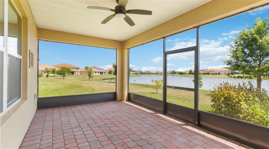 Patio View