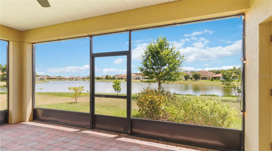 Patio View
