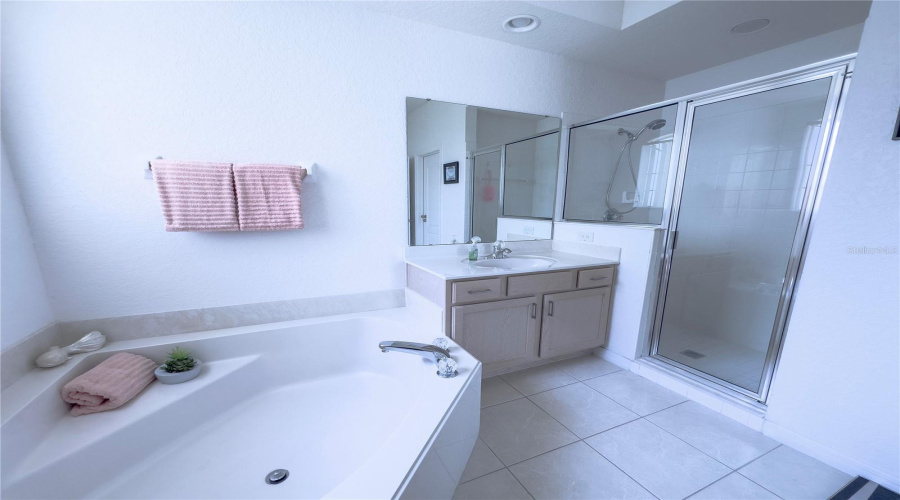 DAVENPORT, Florida 33897, 5 Bedrooms Bedrooms, ,3 BathroomsBathrooms,Residential,For Sale,BIRKDALE,0,MFRO6320579
