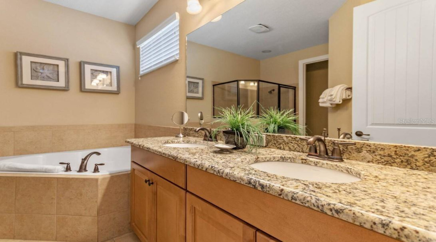REUNION, Florida 34747, 5 Bedrooms Bedrooms, ,5 BathroomsBathrooms,Residential,For Sale,CASTLE PINES,0,MFRO6319916