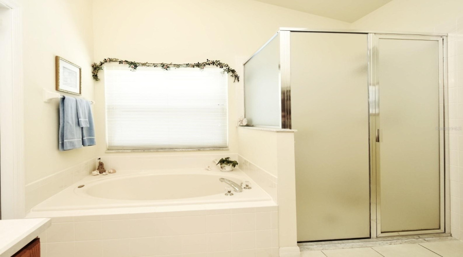 Primary Bath, Tub with Separate Shower