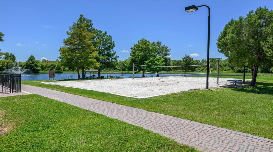 Volleyball Court