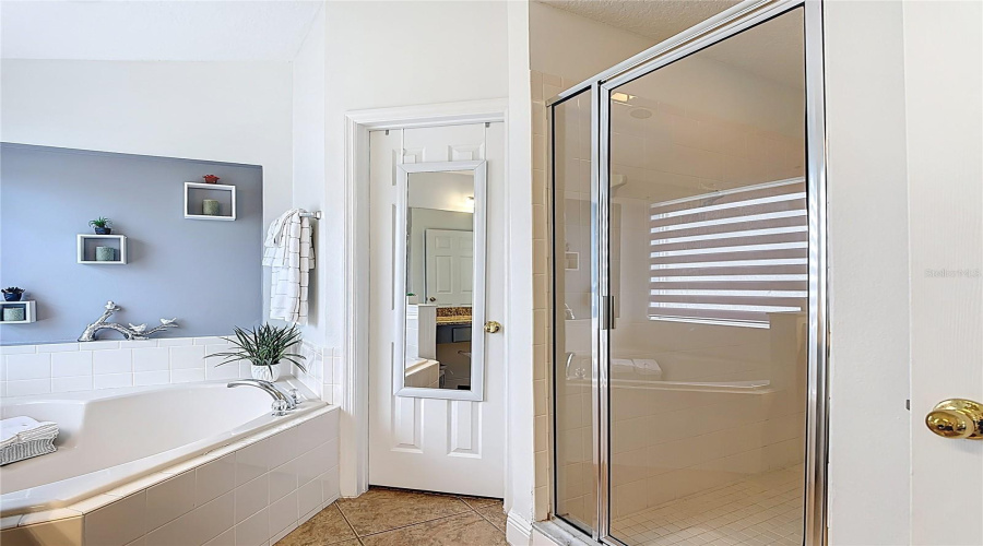 Soaking tub and separate shower