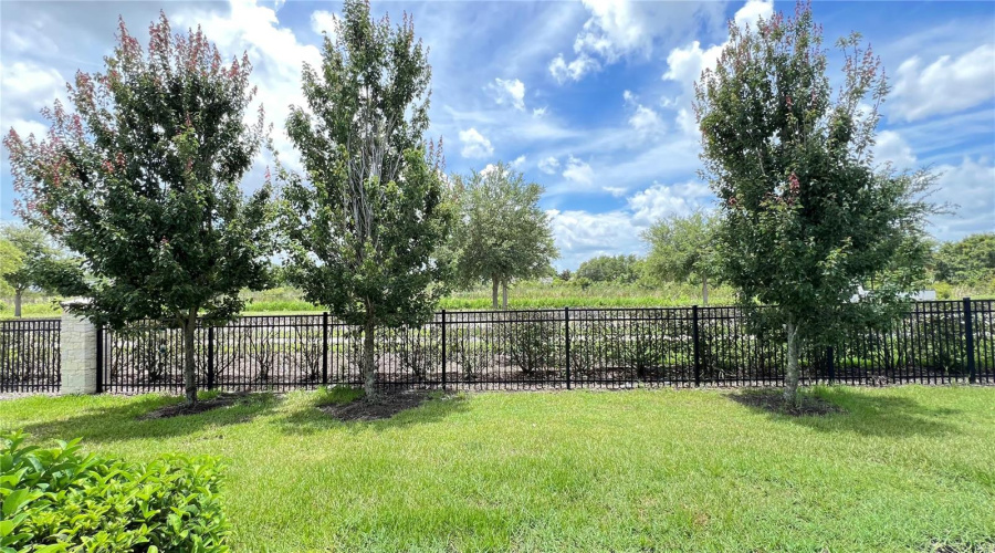 KISSIMMEE, Florida 34746, 3 Bedrooms Bedrooms, ,2 BathroomsBathrooms,Residential,For Sale,TRIBUTE,0,MFRS5129800