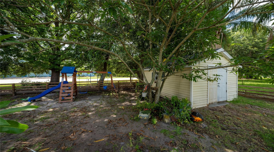 Backyard (2)