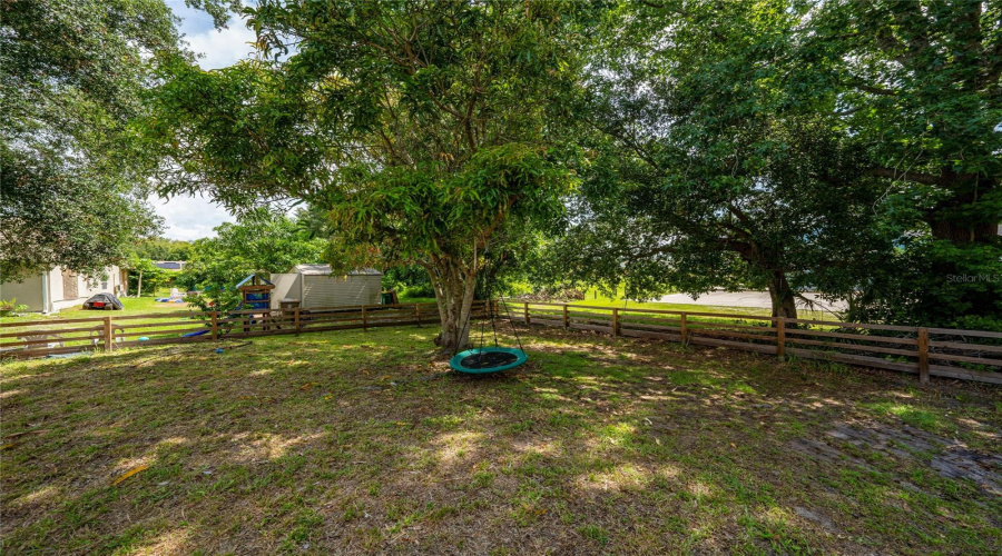 Backyard (4)