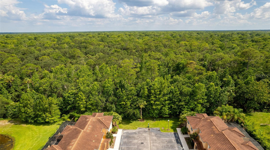 KISSIMMEE, Florida 34746, 3 Bedrooms Bedrooms, ,3 BathroomsBathrooms,Residential,For Sale,ROADSTER,0,MFRO6322805