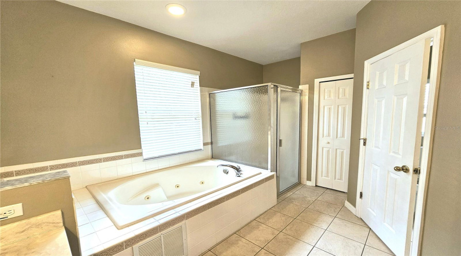 Master Bath with Jacuzzi Tub & Separate Shower