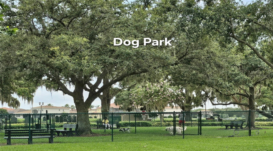 Dog Park