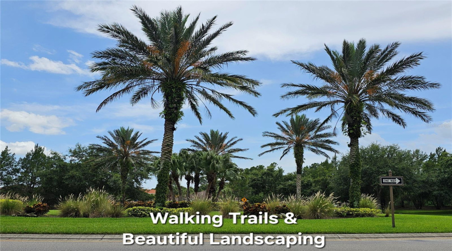 Walking Trails & Beautiful Landscaping