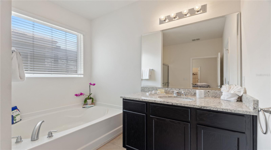 DAVENPORT, Florida 33837, 7 Bedrooms Bedrooms, ,5 BathroomsBathrooms,Residential,For Sale,OAK SHADOW,0,MFRO6324182