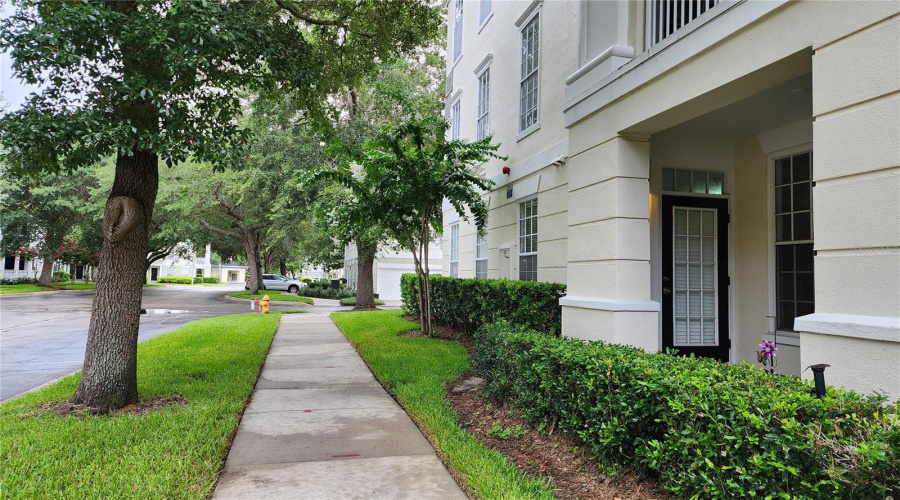 LANSCAPED SIDEWALKS!
