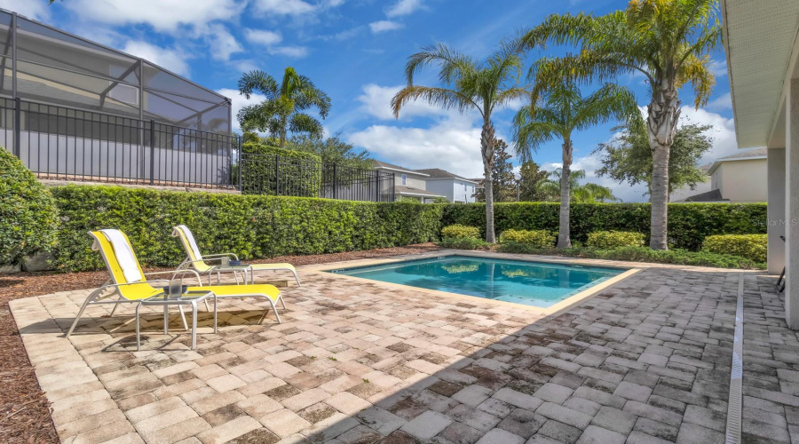 Pool with upgraded pavers
