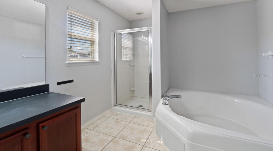 DAVENPORT, Florida 33896, 5 Bedrooms Bedrooms, ,4 BathroomsBathrooms,Residential,For Sale,SCRUB JAY,0,MFRS5130118