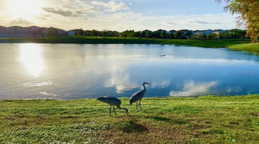 KISSIMMEE, Florida 34747, 5 Bedrooms Bedrooms, ,4 BathroomsBathrooms,Residential,For Sale,CAREY PALM,0,MFRTB8404193