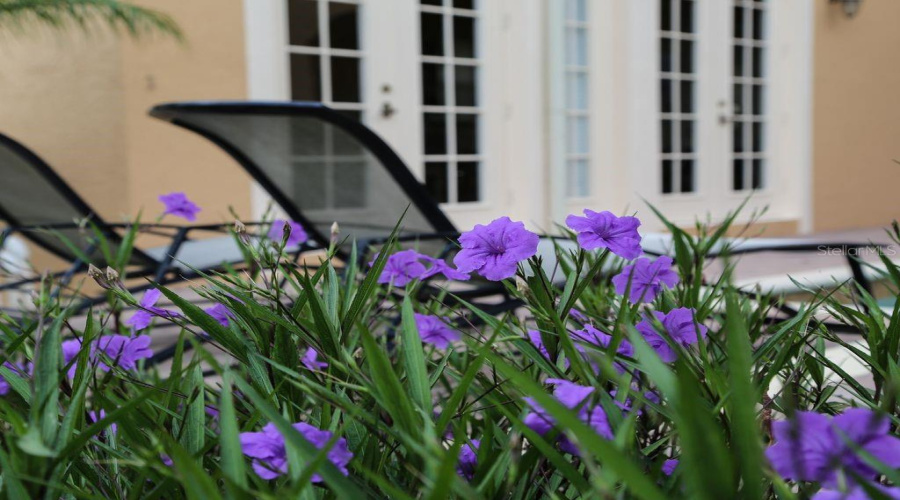 REUNION, Florida 34747, 5 Bedrooms Bedrooms, ,5 BathroomsBathrooms,Residential,For Sale,MUIRFIELD,0,MFRO6322422