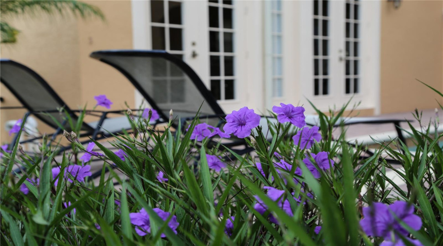 REUNION, Florida 34747, 5 Bedrooms Bedrooms, ,5 BathroomsBathrooms,Residential,For Sale,MUIRFIELD,0,MFRO6322422