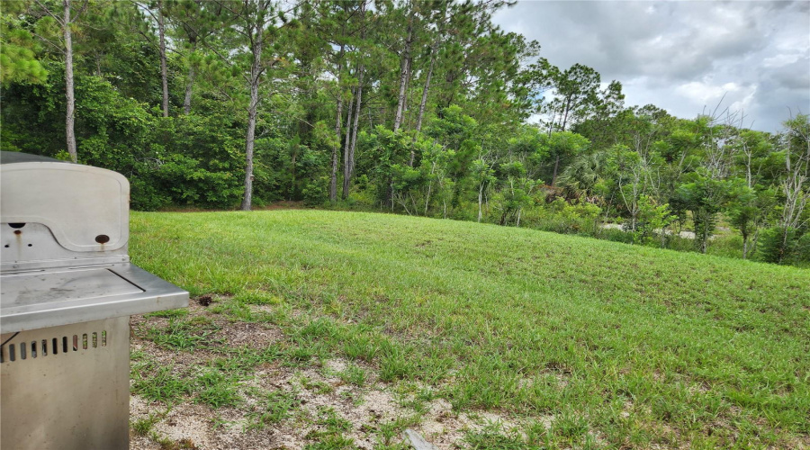 DAVENPORT, Florida 33896, 4 Bedrooms Bedrooms, ,2 BathroomsBathrooms,Residential,For Sale,HAWTHORNE,0,MFRS5129993