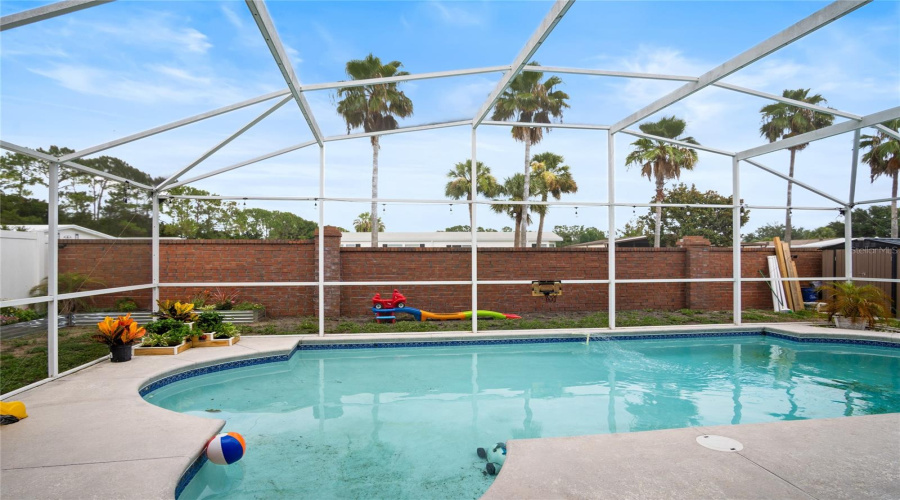 A true feel of Florida living with a pool and palm trees in view.