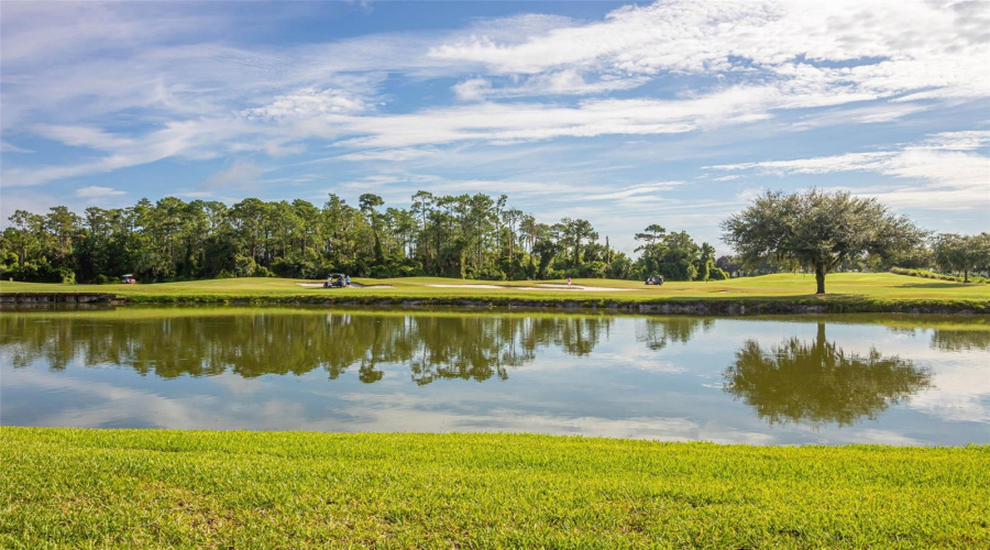 Pond and Golf Course View