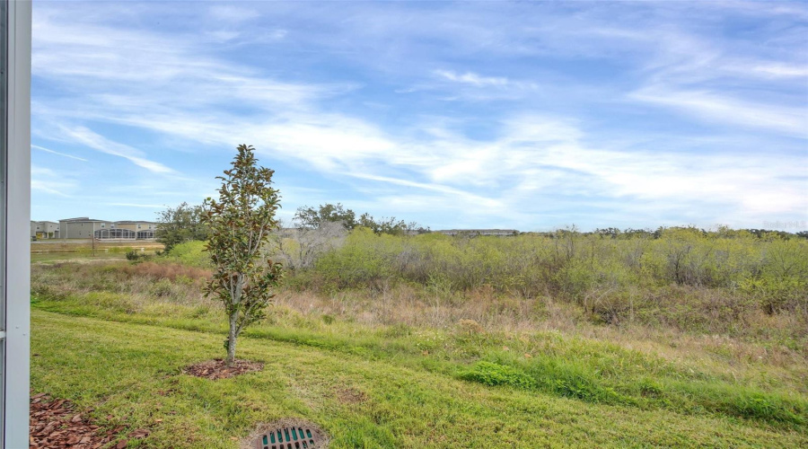 DAVENPORT, Florida 33896, 5 Bedrooms Bedrooms, ,5 BathroomsBathrooms,Residential,For Sale,DROP SHOT,0,MFRO6173246