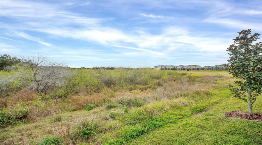 DAVENPORT, Florida 33896, 5 Bedrooms Bedrooms, ,5 BathroomsBathrooms,Residential,For Sale,DROP SHOT,0,MFRO6173246