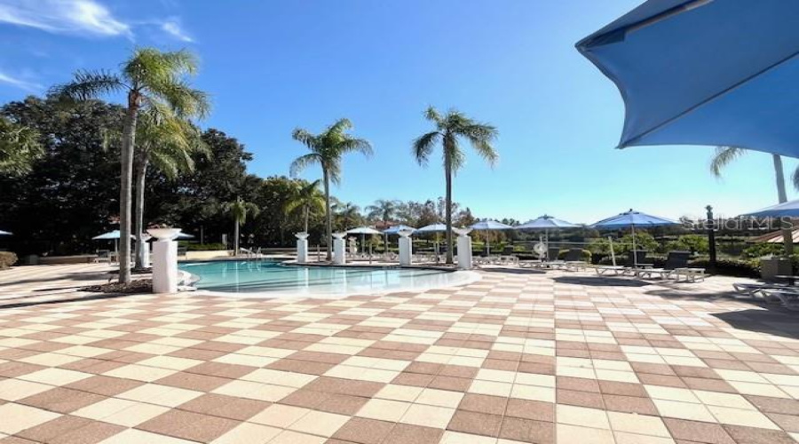 Main Pool