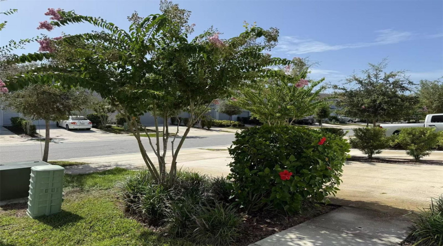 KISSIMMEE, Florida 34746, 3 Bedrooms Bedrooms, ,2 BathroomsBathrooms,Residential,For Sale,BUENA VIEW,0,MFRO6324970