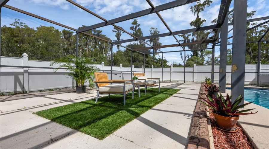 Backyard Pool Area