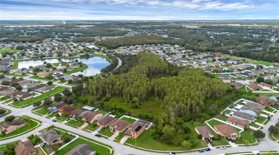 Aerial Neighborhood  View