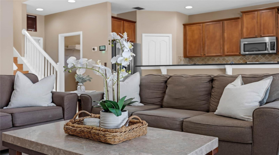 Center Family Room