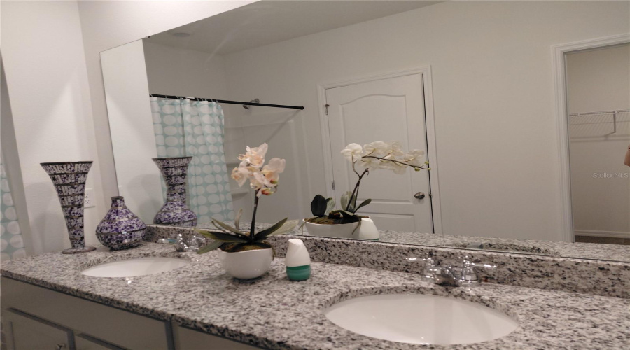 DAVENPORT, Florida 33837, 3 Bedrooms Bedrooms, ,2 BathroomsBathrooms,Residential,For Sale,DESERT ROSE,0,MFRS5130445
