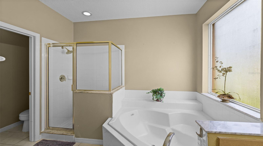 KISSIMMEE, Florida 34746, 6 Bedrooms Bedrooms, ,5 BathroomsBathrooms,Residential,For Sale,HIDEAWAY BEACH,0,MFRS5130447