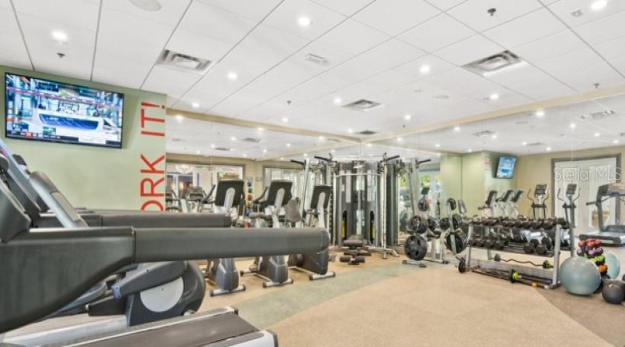 Fitness