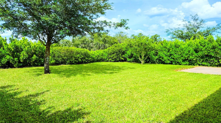 DAVENPORT, Florida 33837, 4 Bedrooms Bedrooms, ,2 BathroomsBathrooms,Residential,For Sale,OAK BLUFF,0,MFRO6325333