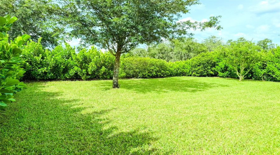 DAVENPORT, Florida 33837, 4 Bedrooms Bedrooms, ,2 BathroomsBathrooms,Residential,For Sale,OAK BLUFF,0,MFRO6325333
