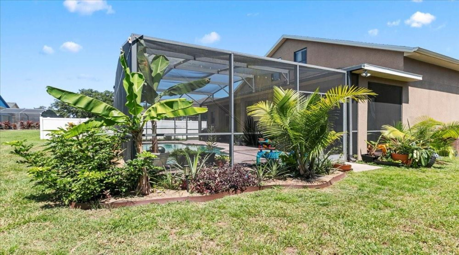 Back Exterior Home and Pool View
